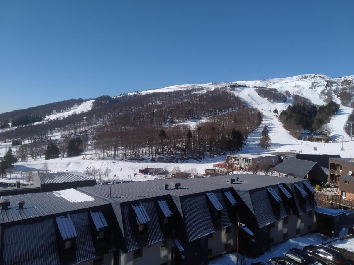 Un Petit Coin De Paradis à Super Appartement *
